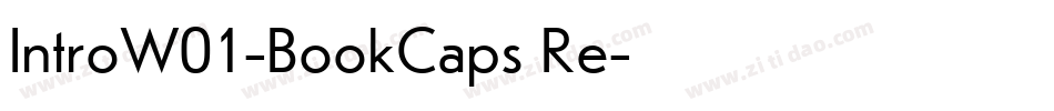IntroW01-BookCaps Re字体转换